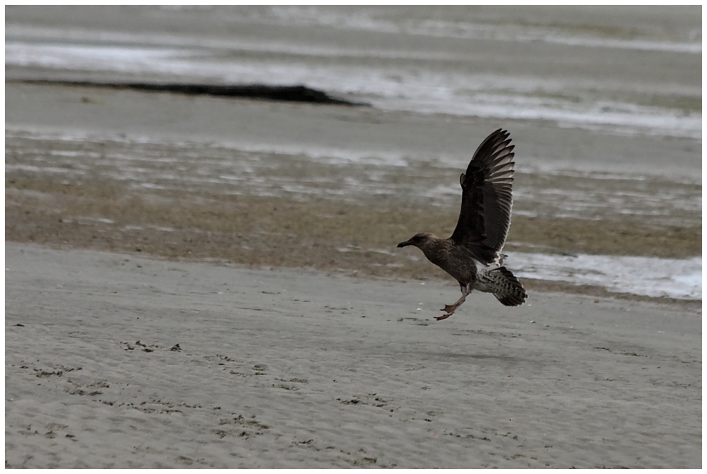 11 - Cape Farewell (13).jpg